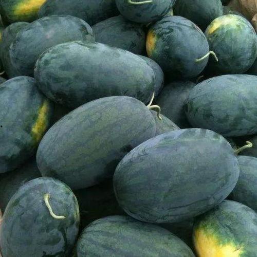 泡泡吃瓜黑料,泡泡吃瓜，黑料背后的真相